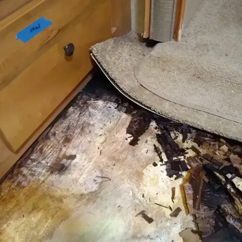 Best Wood Floor Water Damage Service in Toombs County, GA